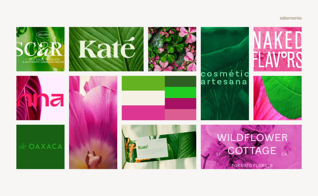 Moodboard for branding in pink and green using detailed plant photography and serif typography.